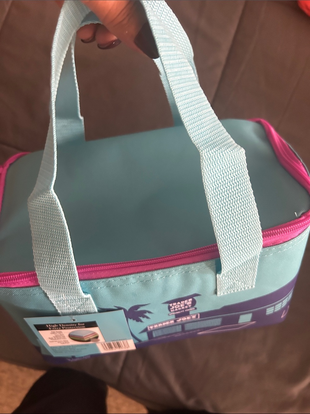 Trader Joe’s  New w tags Aqua and Pink Insulated Lunch Tote